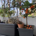Casa Nausica Feriehus Aci Trezza