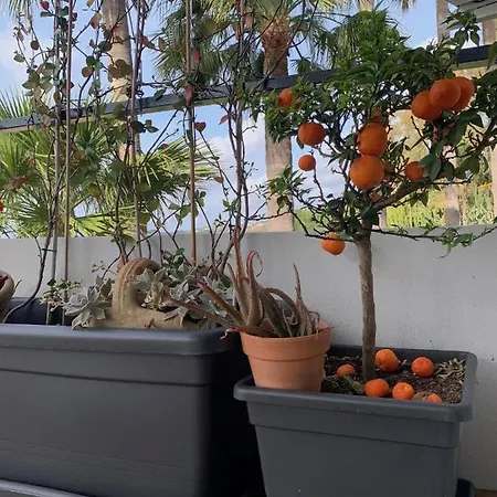 Casa Nausica Holiday home Aci Trezza
